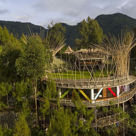 Pagupon Bromo Budget Lodge Kültér fotó