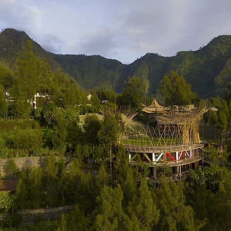 Pagupon Bromo Budget Lodge Kültér fotó
