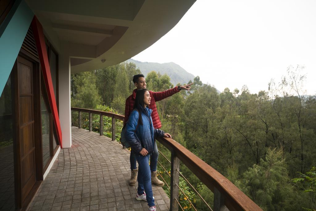 Pagupon Bromo Budget Lodge Kültér fotó